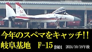 岐阜基地です。本日午後　F-15スペマをキャッチ、、いつ飛ぶのかな?? 楽しみ　2024/10/18