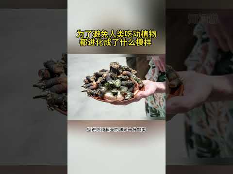 为了避免人类吃，动植物都进化成了什么模样？#动物科普#科学科普 #冷知识 #动物世界 #食物 #美食 #鹅颈藤壶 #榴莲 #进化