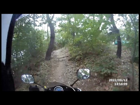 [cbr250r] CBR로 임도주행 연습 겸 테스트 하였습니다.