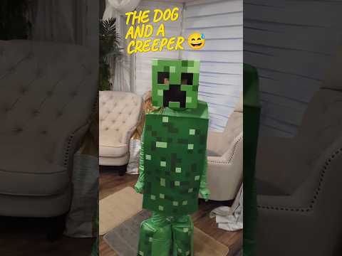 The dog and a creeper #dogs #pets #minecraft