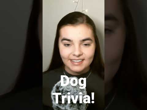 ASMR POP QUIZ! | 5 Dog Trivia Questions