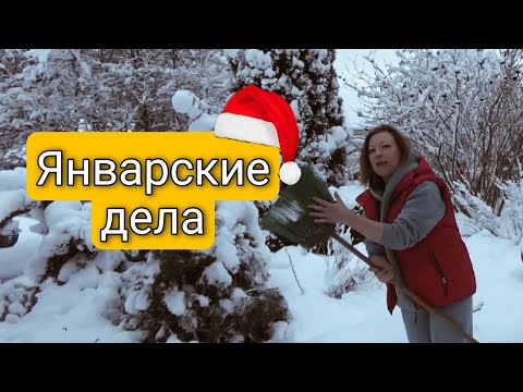 ЯНВАРСКИЕ ДЕЛА | САД ДЛЯ ДУШИ В ЯНВАРЕ