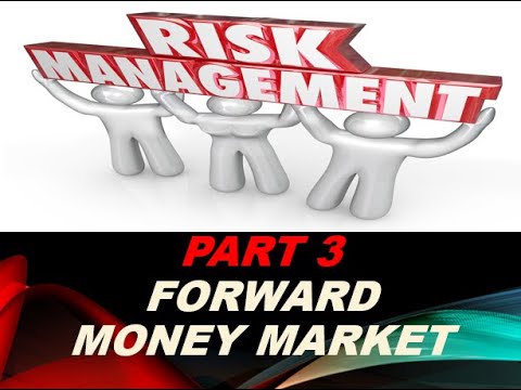 Risk Management Part 3 External Hedging