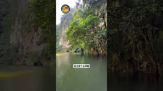 【怡保新开世外桃源，Tasik Cermin 2！】