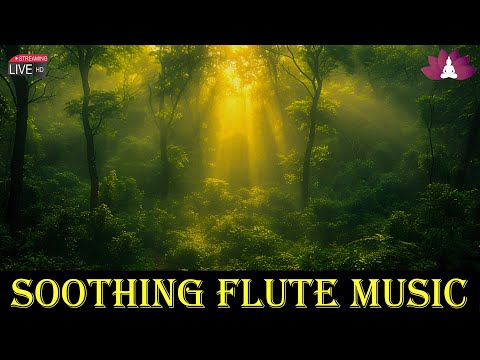 Relaxing Flute Music: Morning Meditation Music | Himalayan Healing Music | Aparmita (बाँसुरी) Ep.178