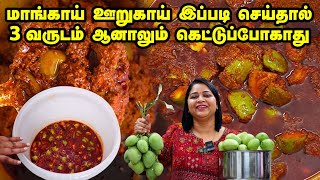 3 வருஷத்துக்கு வெளியே வைத்தாலும் கெட்டுப்போகாதுlMango Pickle| My Masal WhatsApp Order: +919035018089