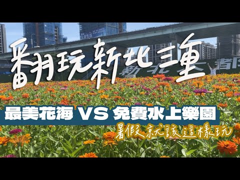 新北市居然有花海？免費水上樂園？ 暑假翻玩三重！｜雙人徐✌️