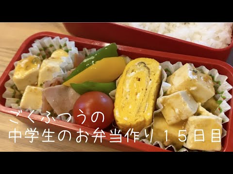 １５日目♫ごく普通の中学生のお弁当づくり♫麻婆豆腐で挟みうち♫