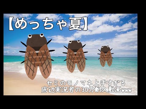 【ASMR？】セミのモノマネ上手すぎる男の30分耐久動画wwwwww