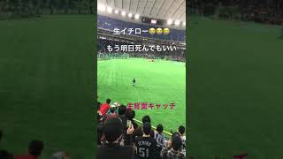 イチロー 背面キャッチ 引退試合 東京ドーム #shorts