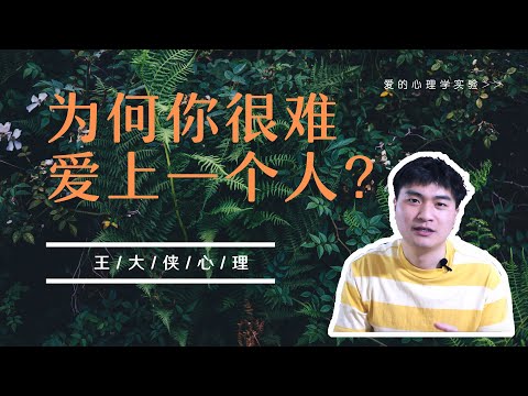 为何你很难爱上一个人？爱的心理学实验 | 大侠心理