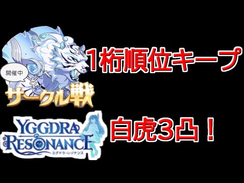 【ユグレゾ】サークル戦諸事情により白虎しか殴れません【ユグドラレゾナンス】