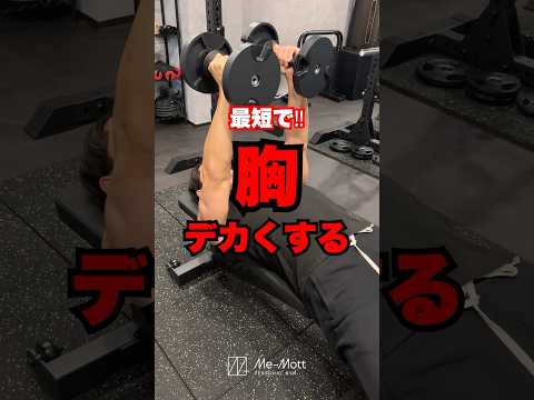 初心者でもバチバチに胸に効く！！ダンベルフライ解説💪