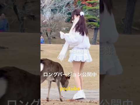 外国人観光客と奈良の鹿🦌▶️クリックでロングバージョンに移ります‼️