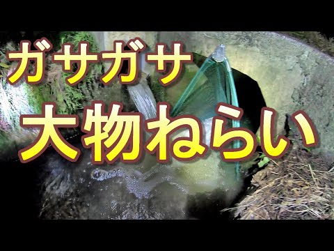 ガサガサで大物を狙え！恐怖と虫を乗り越えて。