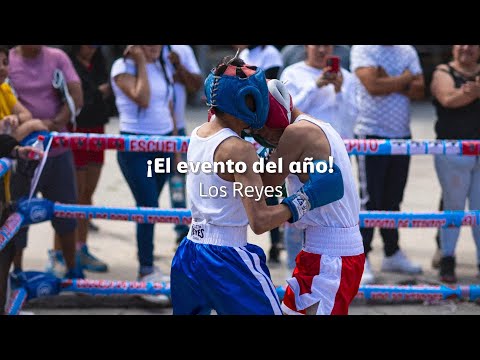 Luchando por un Mejor México: Renovación de Cancha en Los Reyes | Ciudadano Bien Hecho - Comex