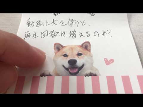 動画に犬を使うと再生回数は増えるのか？