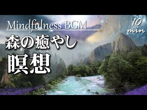 【瞑想音楽10分】ガイドなし森の癒やし「 心の疲れを回復するBGM」