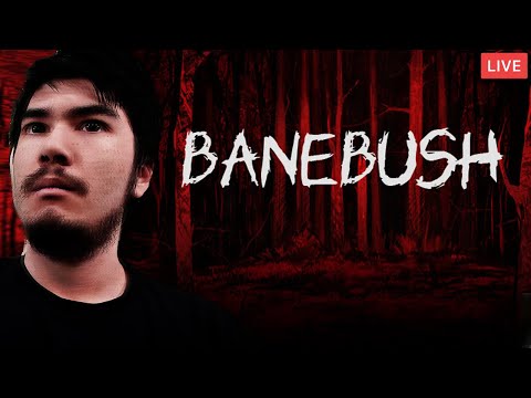 🔴PHIL PLAYS BANEBUSH ! RUSSIAN HORROR VISUAL NOVEL GAME ? 🔴