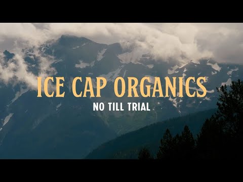 Organic Innovation Series Episode 3: No Till Trial - Ice Cap Organics