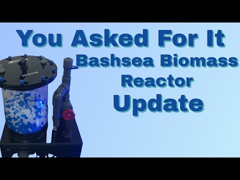 (Update) Bashsea 8-18 Bio Mass Reactor - Should you get one or not for your reef tank. (Good & Bad)