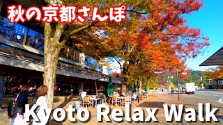 Walk through Kyoto in autumn colors/November 7 2022