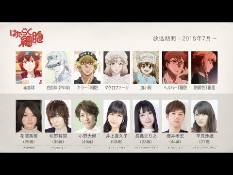 2018夏アニメの声優さんたちは、こんな顔！Vol.3