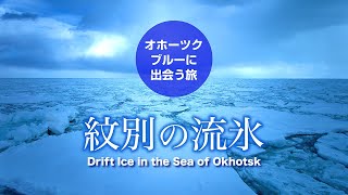 Drift Ice in the Sea of Okhotsk