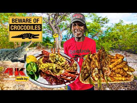 ✔️JAMAICA WALK BY | Exploring Uninhabited CROCODILE Islands Off Cast Of Jamaica Fresh Catch and Cook