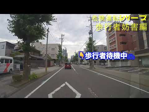 【危険運転シリーズ‼️ドライブレコーダー】歩行者妨害編