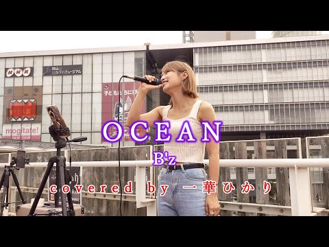 OCEAN / B'z  covered by 《一華ひかり》 ※概要欄にツアー情報があります