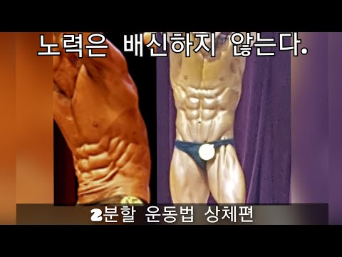 1시간 투자로 8주 일반인 몸짱되는 공짜pt (2분할 상체편) 루틴만 눈에 익혀서 1달만 해보세요, 건짱 몸짱될수 있습니다.