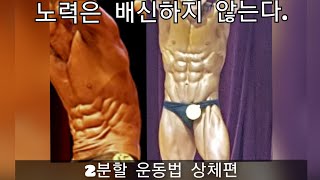 1시간 투자로 8주 일반인 몸짱되는 공짜pt (2분할 상체편) 루틴만 눈에 익혀서 1달만 해보세요, 건짱 몸짱될수 있습니다.