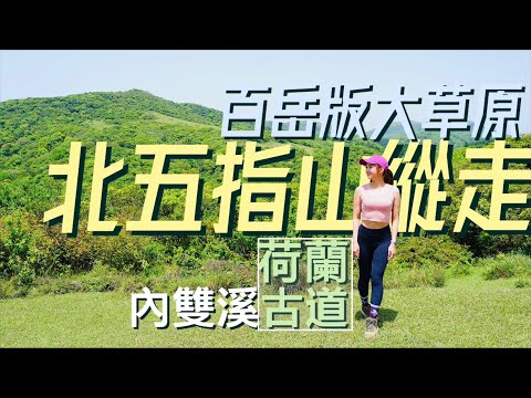 【北五指山】媲美百岳級大草原！電玩真實版美景！內雙溪古道 北五指山 荷蘭古道O型縱走！