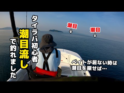 【ミニボート釣行】タイラバ初心者が潮目狙いで色々釣れましたIN天草　#アスボヤ33 #タイラバ#夫婦サバイバル