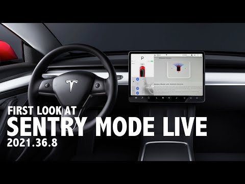 Tesla Live Sentry Mode Camera Access - Update 2021.36.8