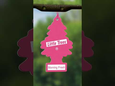 BLACK ICE vs. Morning Fresh Little Trees: Smell Badness Round 6 #sniff #littletrees #airfreshener