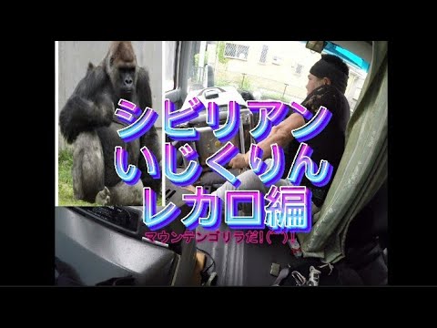 シビリアン　ゴリラがシート交換⁉️