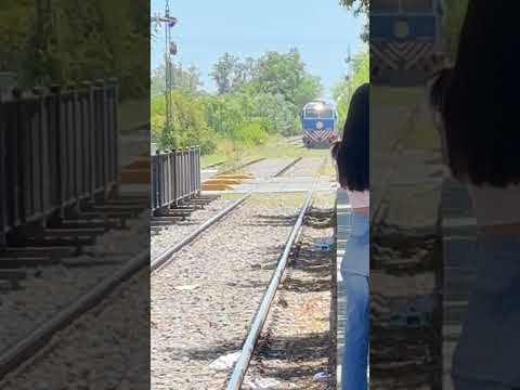 Gente inconsciente cruza las vías del Sarmiento mientras viene con todo la formación #shorts #trenes