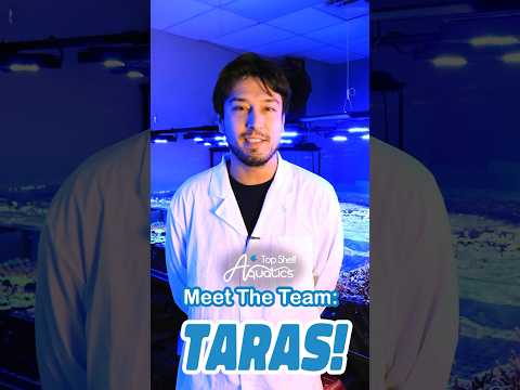 The Team Behind Top Shelf: Meet Taras! #behindthescenes #aquarium #aquaculture