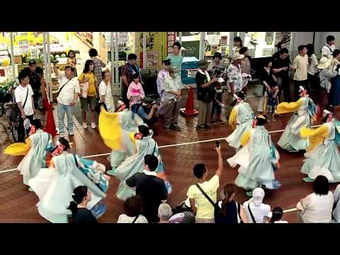 うらじゃ 2013  " 踊り連おひさま " ☆彡