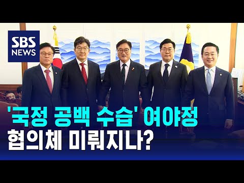 '국정 공백 수습' 여야정 협의체 미뤄지나? / SBS