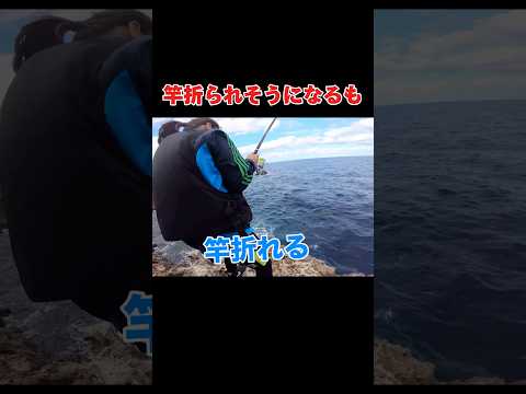 超釣れる磯のフカセ釣り#釣り#沖縄#フカセ釣り