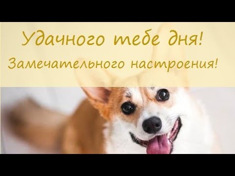 С Добрым Утром ❤️С Прекрасным новым днём тебя❤️Пусть день начнется с Доброты❤️