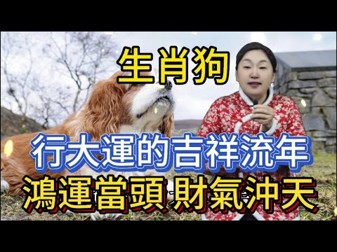 生肖狗行大運的年份！正財橫財滾滾而來，事業騰飛勢不可擋，家庭美滿幸福洋溢，生活如意吉祥安康，好運爆棚擋都擋不住！#生肖 #熱門 #風水 #正能量 #運勢 #佛教