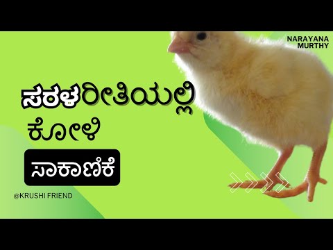 ಕೋಳಿ ಸಾಕಾಣಿಕೆ ರೀತಿ ಮೇಲೆ ನಿಮ್ಮ ಲಾಭ || Your profit on how to raise chickens