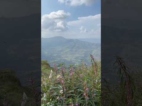 Don’t miss this place in Pune 🥹 #mountains #rajgad #pune #yttrending