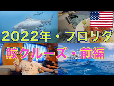 Cruise to Florida, U.S.A. in 2022 - Swimming with 5 species of sharks *Part 1