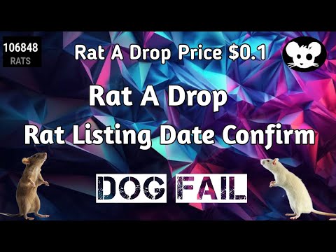 Rats Kingdom Airdrop Launched - New Airdrop Rat Crypto Airdrop | Rat Full Video | Crypto King