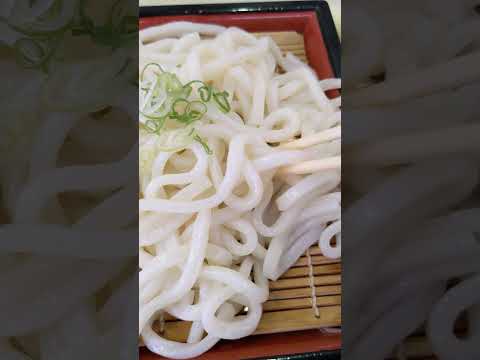 Zaru-Udon ざるうどん